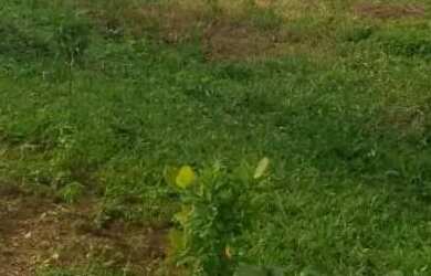 Imagem 4: Terreno. 2.300m² de Área