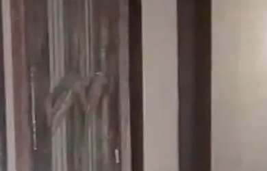 Imagem 5: Vende-se Casa ou Casa e Terreno