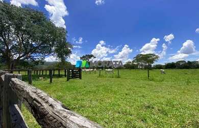 Imagem 3: FAZENDA À VENDA - 1.300 HECTARES - BURITIS MG
