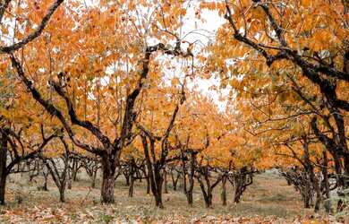 Imagem 2: Terreno - Bairro Mato Queimado