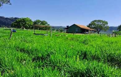 Imagem 3: Oportunidade Vende-se uma excelente fazenda de 68.8 hectares