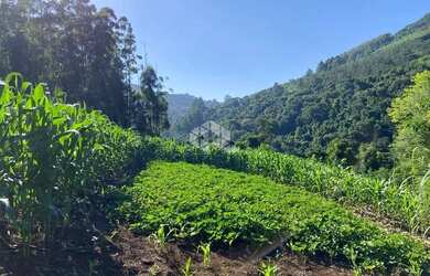 Imagem 7: Chácara com vista e riacho na Serra Gaúcha