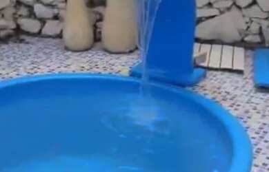 Imagem: A casa para alugar possui 3 Dormitórios, 2 Banheiros, 1 Vaga