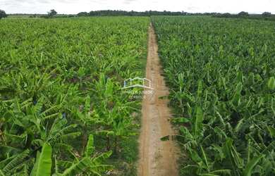 Imagem: A fazenda possui 1m² de Área e está localizado em Área Rural