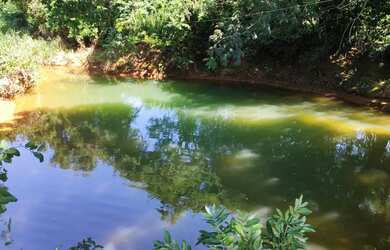 Imagem 11: VENDO SITIO NA ESTRADA DA PRODUÇÃO PROXIMO A SAMAMBAIA COM LINDAS BELEZAS...