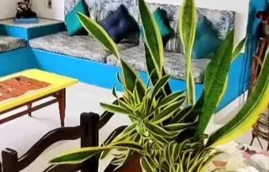 Imagem 14: Casa beira mar guaxindiba