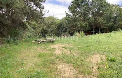 Imagem 11: Terreno à venda, 8857 m² por R$ 849.000,00 - Ferraria - Campo Largo/PR