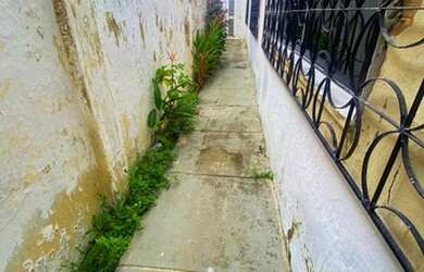 Imagem 6: Casa Plana no Joaquim Távora - Locação - R$ 3.000,00