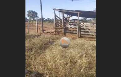 Imagem 3: Fazenda com 2 dormitórios à venda, 1161600 m² por R$ 8.000.000,00 -...