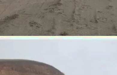 Imagem 6: Ótimos terrenos planos em Três Rios RJ