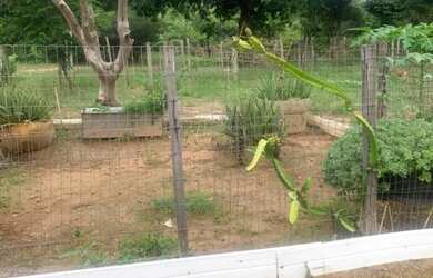 Imagem 13: Vende se uma propriedade. 774.400m² de Área