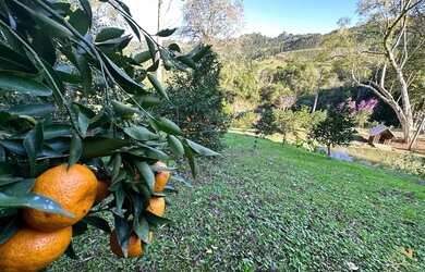 Imagem 13: Excelente Sítio à venda com 4.8 hectares em Linha Olinda. Nova Petrópolis...