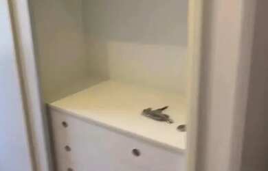 Imagem 15: Sobrado para aluguel possui 230 m² com 3 suítes em Tamboré - Santana de Parnaíba - SP