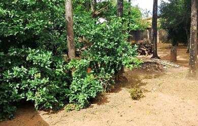 Imagem: O terreno possui 2.635m² de Área e está localizado em São