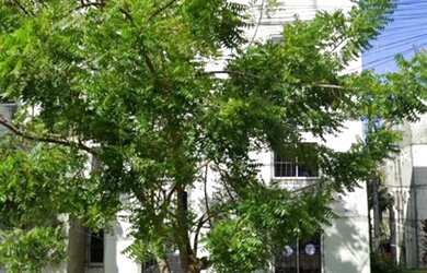 Imagem: Apartamento Bosque das Bromelias