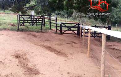 Imagem 6: Fazenda 182 Alqueires Paulista Em Governador Valadares/MG