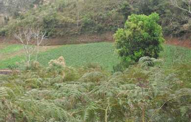 Imagem 16: Terreno à venda, 1024 m² por R$ 60.000,00 - Vieira - Teresópolis/RJ
