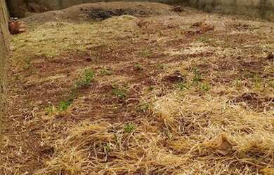 Imagem: O terreno possui 215m² de Área e está localizado em Jardim