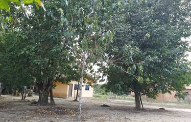 Imagem: O terreno possui 22.500m² de Área e está localizado em Castanhal