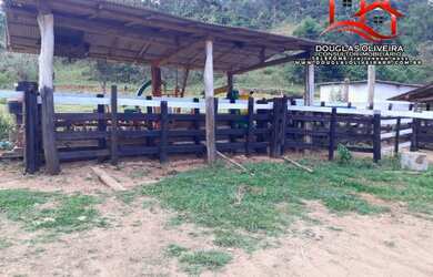 Imagem 5: Fazenda 182 Alqueires Paulista Em Governador Valadares/MG