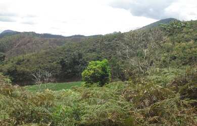 Imagem 2: Terreno à venda, 1024 m² por R$ 60.000,00 - Vieira - Teresópolis/RJ