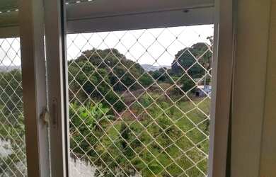 Imagem 10: NOVO HAMBURGO - Padrão - RONDONIA