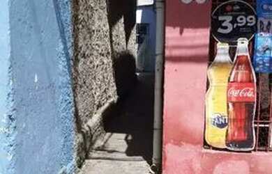 Imagem: A casa possui 2 Dormitórios, 1 Banheiro, 1 Vaga na garagem