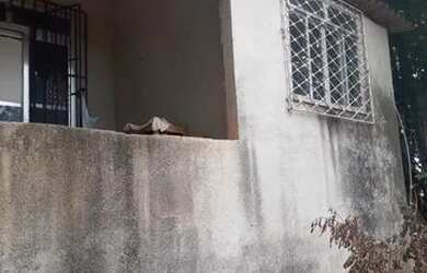 Imagem: Casa em Vargem Alegre com Quintal