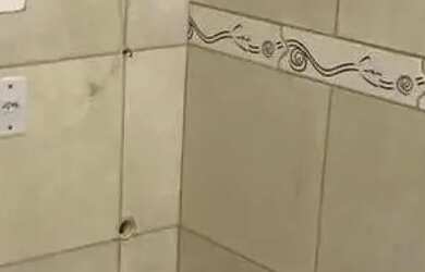 Imagem 8: Alugo apartamento. 1 Banheiroe2 Dormitórios