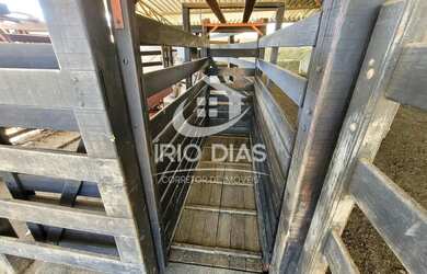 Imagem 15: Fazenda para Venda em Curvelo, Área Rural de Curvelo, 3 dormitórios,...