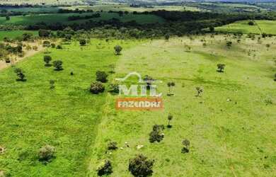 Imagem: A fazenda possui 500m² de Área e está localizado em Professor