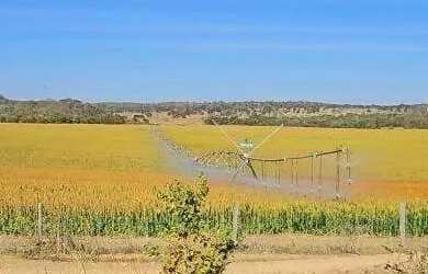 Imagem: A fazenda possui 517m² de Área e está localizado em Área