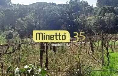 Imagem 6: VENDA - CHÁCARA EM SÃO GOTARDO/ BOCA DA SERRA