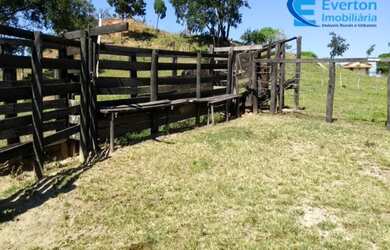 Imagem 10: Fazenda rica em água, com 25,50alqueires em Presidente Olegário - MG