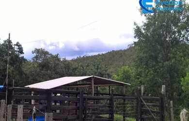 Imagem 11: Fazenda rica em água, com 25,50alqueires em Presidente Olegário - MG