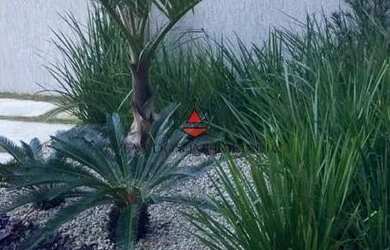 Imagem 13: Casa Condomínio Fechado Rua Rivadavia Campos Recreio dos Navegantes