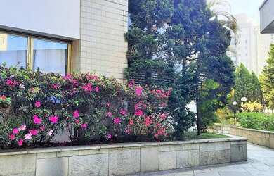 Imagem 3: Vendo excelente apartamento na Saúde, suíte com varanda, lavabo, copa,...