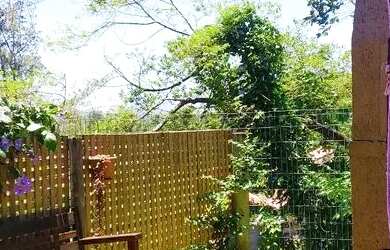 Imagem 7: Praia do Rosa 4 casas, excelente localização