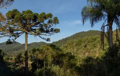 Imagem: A fazenda está localizado em Área Rural de Montes Claros