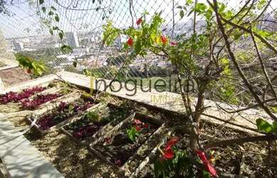 Imagem 14: Apartamento de Alto Padrão no condomínio São Paulo Golf Club!!!