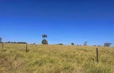 Imagem 5: Fazenda de 665 alqueires em São Miguel do Araguaia - GO