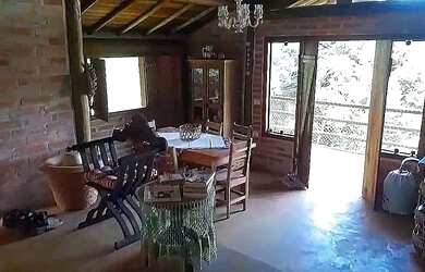 Imagem 9: Vendo encantador sítio em Joanópolis pronto para morar Porteira fechada