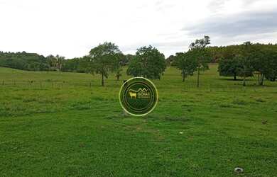 Imagem 14: 197 Alqueires Novo Brasil