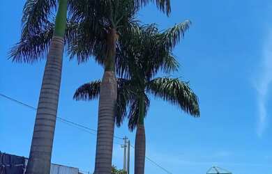 Imagem: A chácara possui 1.500m² de Área e está localizado em Cosmópolis