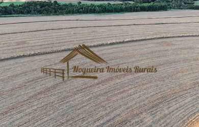 Imagem 9: Sítio com 17 alqueires terra vermelha em Quadra/SP