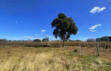 Imagem 9: FAZENDA À VENDA - 217 ALQUEIRES MUNDO NOVO - Goias