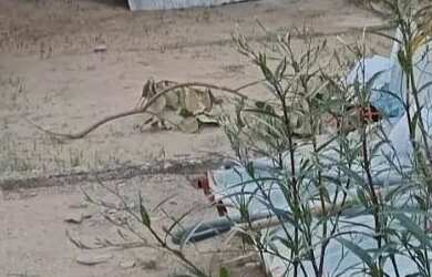 Imagem: A casa possui 1 Dormitório, 1 Banheiro, 8m² de Área e está
