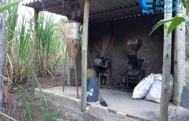 Imagem 15: Fazenda rica em água, com 25,50alqueires em Presidente Olegário - MG