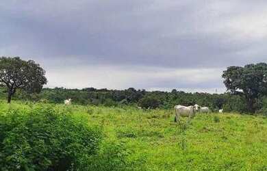 Imagem 13: Fazenda 38 Alqueires Vale do Araguaia
