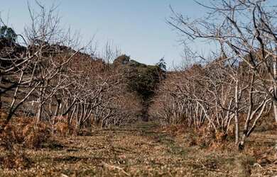 Imagem 3: Terreno - Bairro Mato Queimado